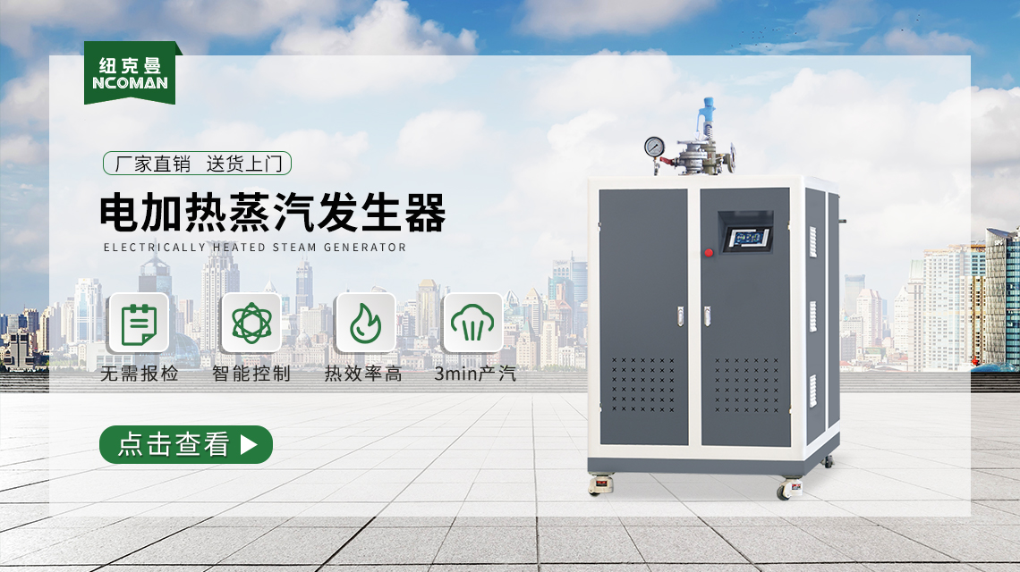 電加熱蒸汽發生器